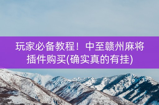 玩家必备教程！中至赣州麻将插件购买(确实真的有挂)