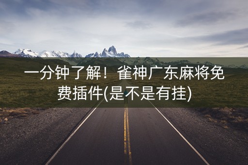 一分钟了解！雀神广东麻将免费插件(是不是有挂)