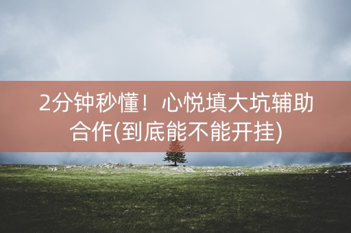 2分钟秒懂！心悦填大坑辅助合作(到底能不能开挂)