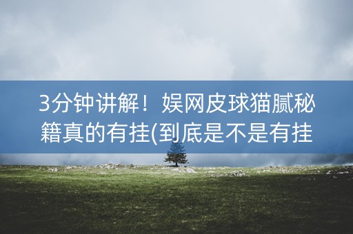 3分钟讲解！娱网皮球猫腻秘籍真的有挂(到底是不是有挂)