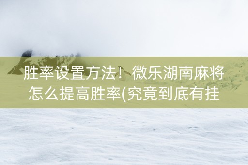 胜率设置方法！微乐湖南麻将怎么提高胜率(究竟到底有挂吗)