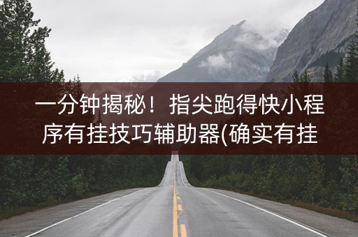 一分钟揭秘！指尖跑得快小程序有挂技巧辅助器(确实有挂)