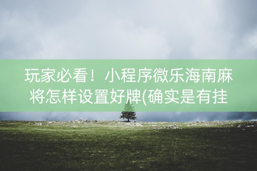 玩家必看！小程序微乐海南麻将怎样设置好牌(确实是有挂)