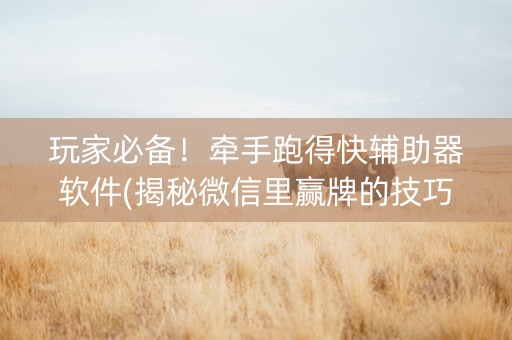 玩家必备！牵手跑得快辅助器软件(揭秘微信里赢牌的技巧)