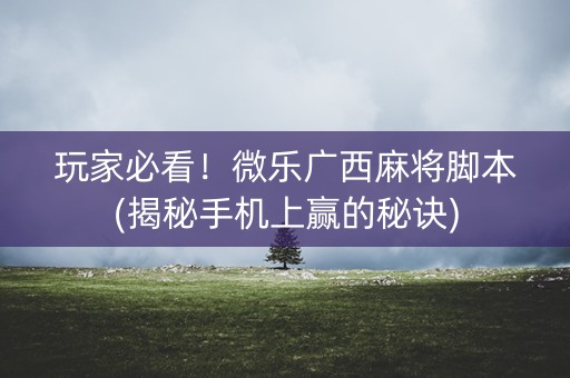 玩家必看！微乐广西麻将脚本(揭秘手机上赢的秘诀)