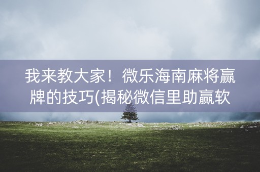我来教大家！微乐海南麻将赢牌的技巧(揭秘微信里助赢软件)
