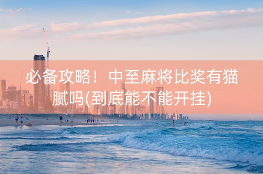 必备攻略！中至麻将比奖有猫腻吗(到底能不能开挂)