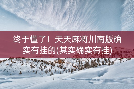 终于懂了！天天麻将川南版确实有挂的(其实确实有挂)