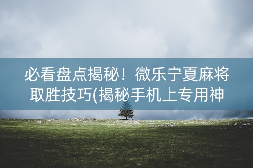 必看盘点揭秘！微乐宁夏麻将取胜技巧(揭秘手机上专用神器)