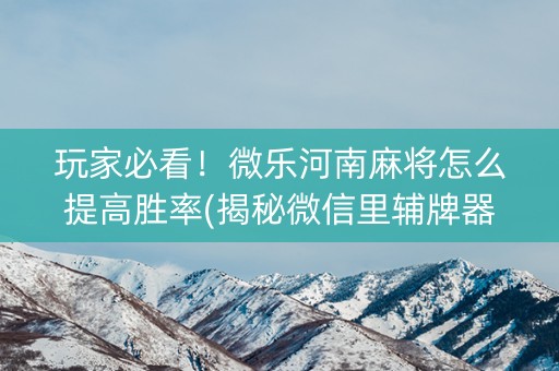 玩家必看！微乐河南麻将怎么提高胜率(揭秘微信里辅牌器)