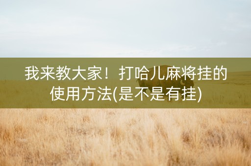 我来教大家！打哈儿麻将挂的使用方法(是不是有挂)