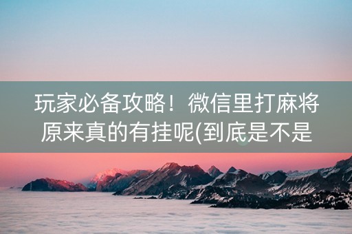 玩家必备攻略！微信里打麻将原来真的有挂呢(到底是不是有挂)