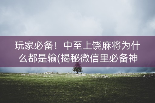 玩家必备！中至上饶麻将为什么都是输(揭秘微信里必备神器)