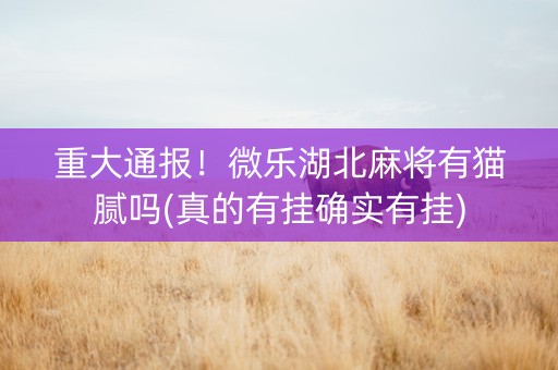 重大通报！微乐湖北麻将有猫腻吗(真的有挂确实有挂)