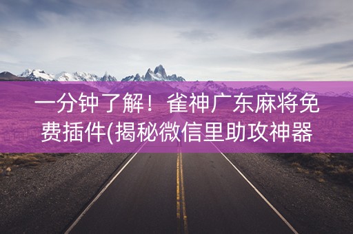 一分钟了解！雀神广东麻将免费插件(揭秘微信里助攻神器)