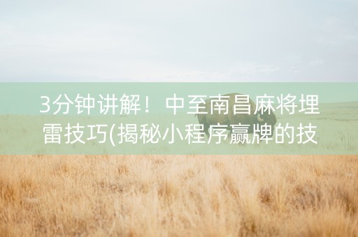 3分钟讲解！中至南昌麻将埋雷技巧(揭秘小程序赢牌的技巧)