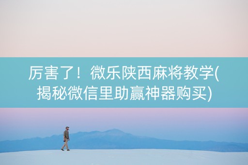 厉害了！微乐陕西麻将教学(揭秘微信里助赢神器购买)