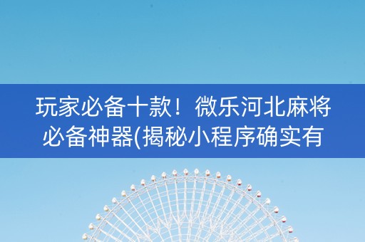 玩家必备十款！微乐河北麻将必备神器(揭秘小程序确实有猫腻)