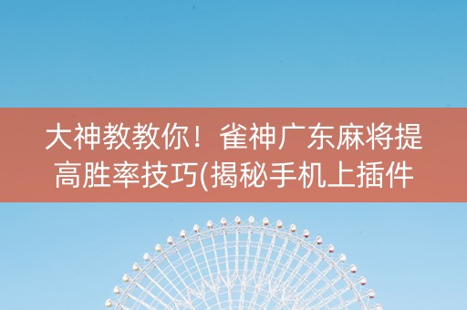 大神教教你！雀神广东麻将提高胜率技巧(揭秘手机上插件下载)