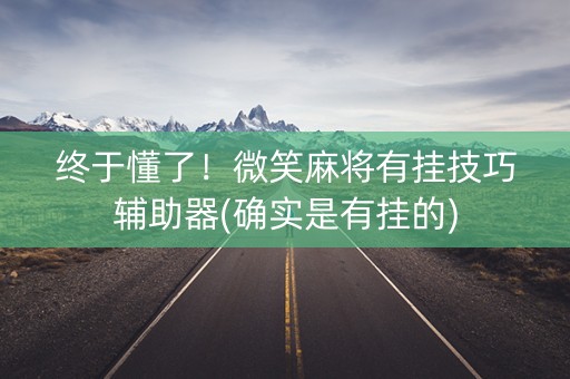 终于懂了！微笑麻将有挂技巧辅助器(确实是有挂的)