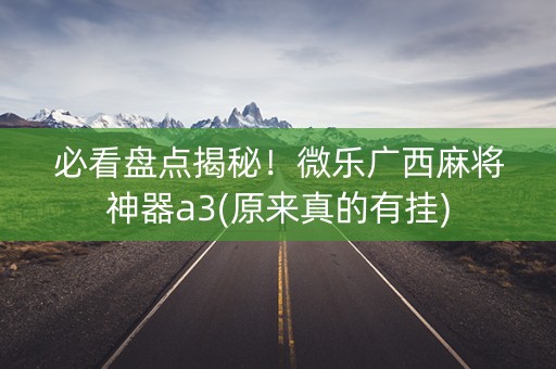 必看盘点揭秘！微乐广西麻将神器a3(原来真的有挂)