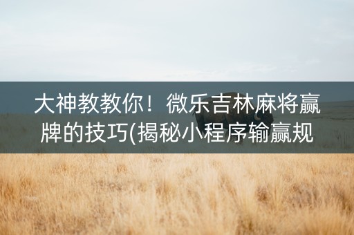大神教教你！微乐吉林麻将赢牌的技巧(揭秘小程序输赢规律)
