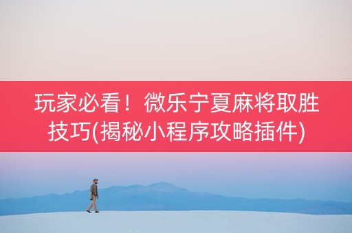 玩家必看！微乐宁夏麻将取胜技巧(揭秘小程序攻略插件)