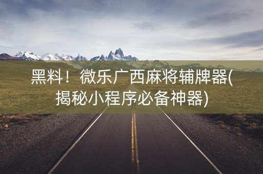 黑料！微乐广西麻将辅牌器(揭秘小程序必备神器)
