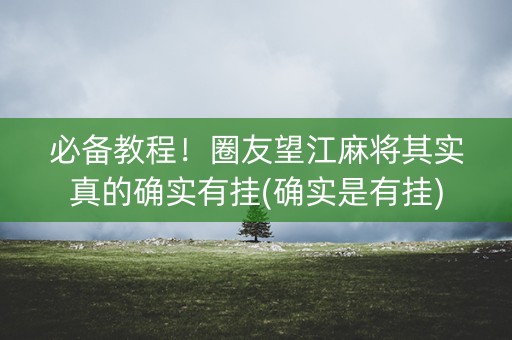 必备教程！圈友望江麻将其实真的确实有挂(确实是有挂)