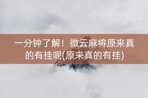 一分钟了解！微云麻将原来真的有挂呢(原来真的有挂)