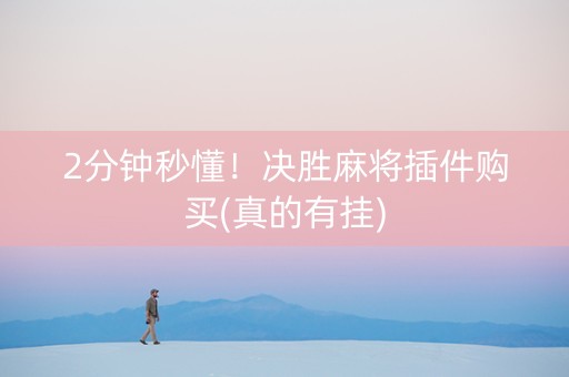 2分钟秒懂！决胜麻将插件购买(真的有挂)