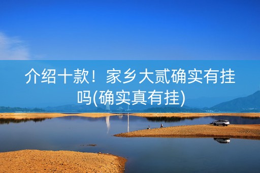 介绍十款！家乡大贰确实有挂吗(确实真有挂)