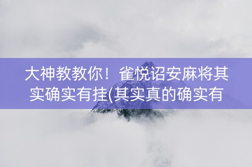 大神教教你！雀悦诏安麻将其实确实有挂(其实真的确实有挂)