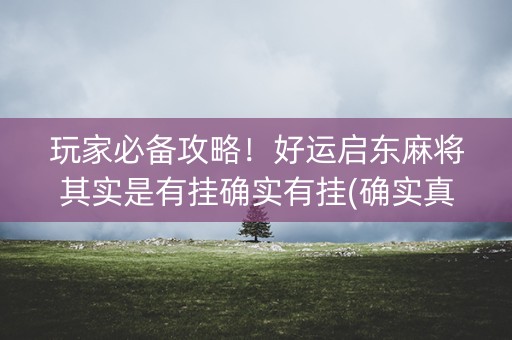 玩家必备攻略！好运启东麻将其实是有挂确实有挂(确实真的有挂)