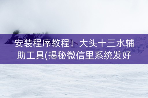 安装程序教程！大头十三水辅助工具(揭秘微信里系统发好牌)