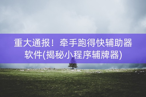 重大通报！牵手跑得快辅助器软件(揭秘小程序辅牌器)