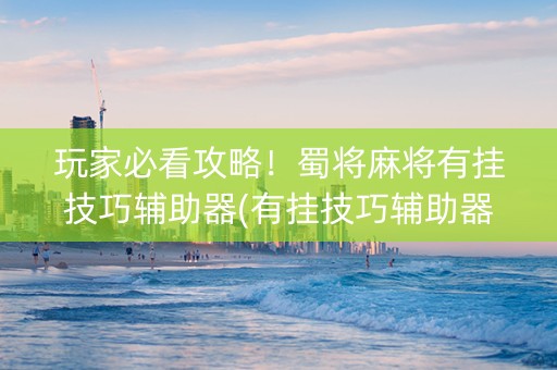 玩家必看攻略！蜀将麻将有挂技巧辅助器(有挂技巧辅助器)