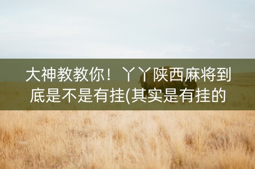 大神教教你！丫丫陕西麻将到底是不是有挂(其实是有挂的)