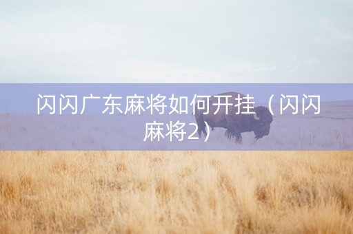 闪闪广东麻将如何开挂（闪闪麻将2）