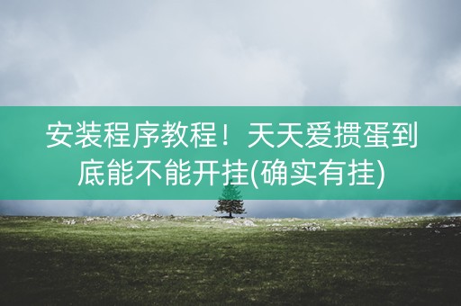 安装程序教程！天天爱掼蛋到底能不能开挂(确实有挂)