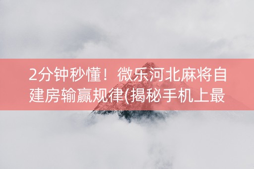 2分钟秒懂！微乐河北麻将自建房输赢规律(揭秘手机上最新神器下载)