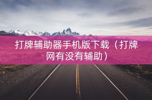 打牌辅助器手机版下载（打牌网有没有辅助）
