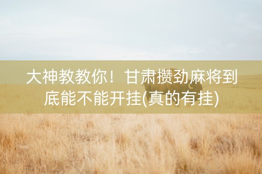 大神教教你！甘肃攒劲麻将到底能不能开挂(真的有挂)
