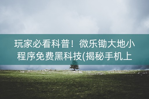 玩家必看科普！微乐锄大地小程序免费黑科技(揭秘手机上插件购买)