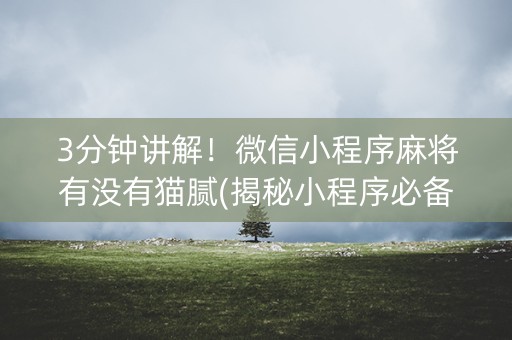 3分钟讲解！微信小程序麻将有没有猫腻(揭秘小程序必备神器)
