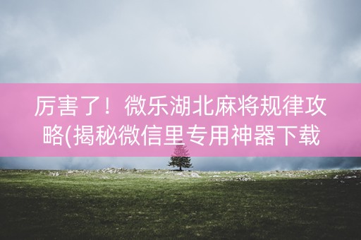 厉害了！微乐湖北麻将规律攻略(揭秘微信里专用神器下载)