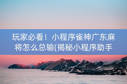 玩家必看！小程序雀神广东麻将怎么总输(揭秘小程序助手软件)