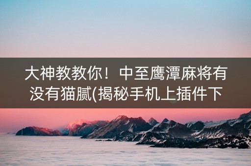 大神教教你！中至鹰潭麻将有没有猫腻(揭秘手机上插件下载)