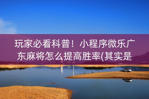 玩家必看科普！小程序微乐广东麻将怎么提高胜率(其实是有挂确实有挂)