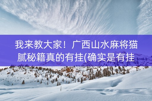 我来教大家！广西山水麻将猫腻秘籍真的有挂(确实是有挂)